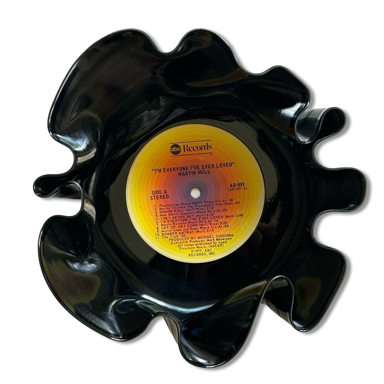 Vinyl Record Bowl - Image 7
